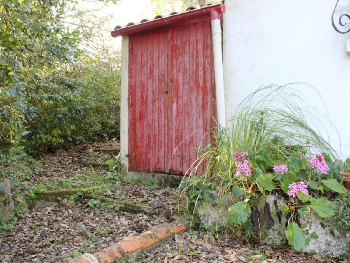 Maison 2 Pieces A Saint-Pierre-D'Oleron, 4 Couchages, Proche Plage, Grand Jardin, Veranda, Calme - Fr-1-246A-367 Villa La Cotiniere Exterior photo